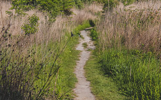 What are some strategies for maintaining a car-free lifestyle in a rural area?